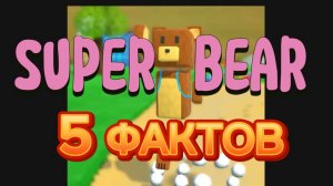 ПЯТЬ ФАКТОВ SUPER BEAR