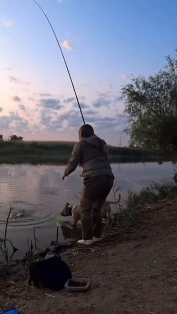 Ну вот зачем дразнить смотреть онлайн
