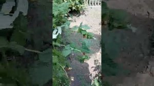 2  часть  Путешествие                                                                   Мы приехали!