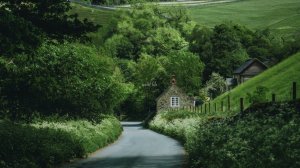 Beautiful Things - A quiet life playlist