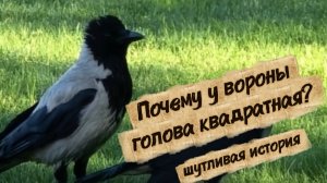 О чём думают вороны...🤔 Родители и дети в мире животных🤭