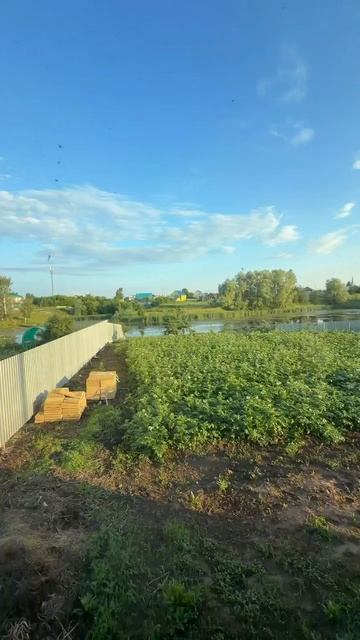 13316823 смотреть онлайн