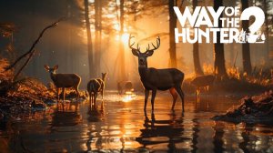 Не промахивается тот, у кого нет ружья | Way of the Hunter 2 | Путь Охотника #19