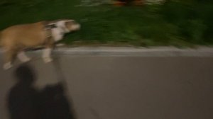 Ты не можешь расслабиться из за стресса