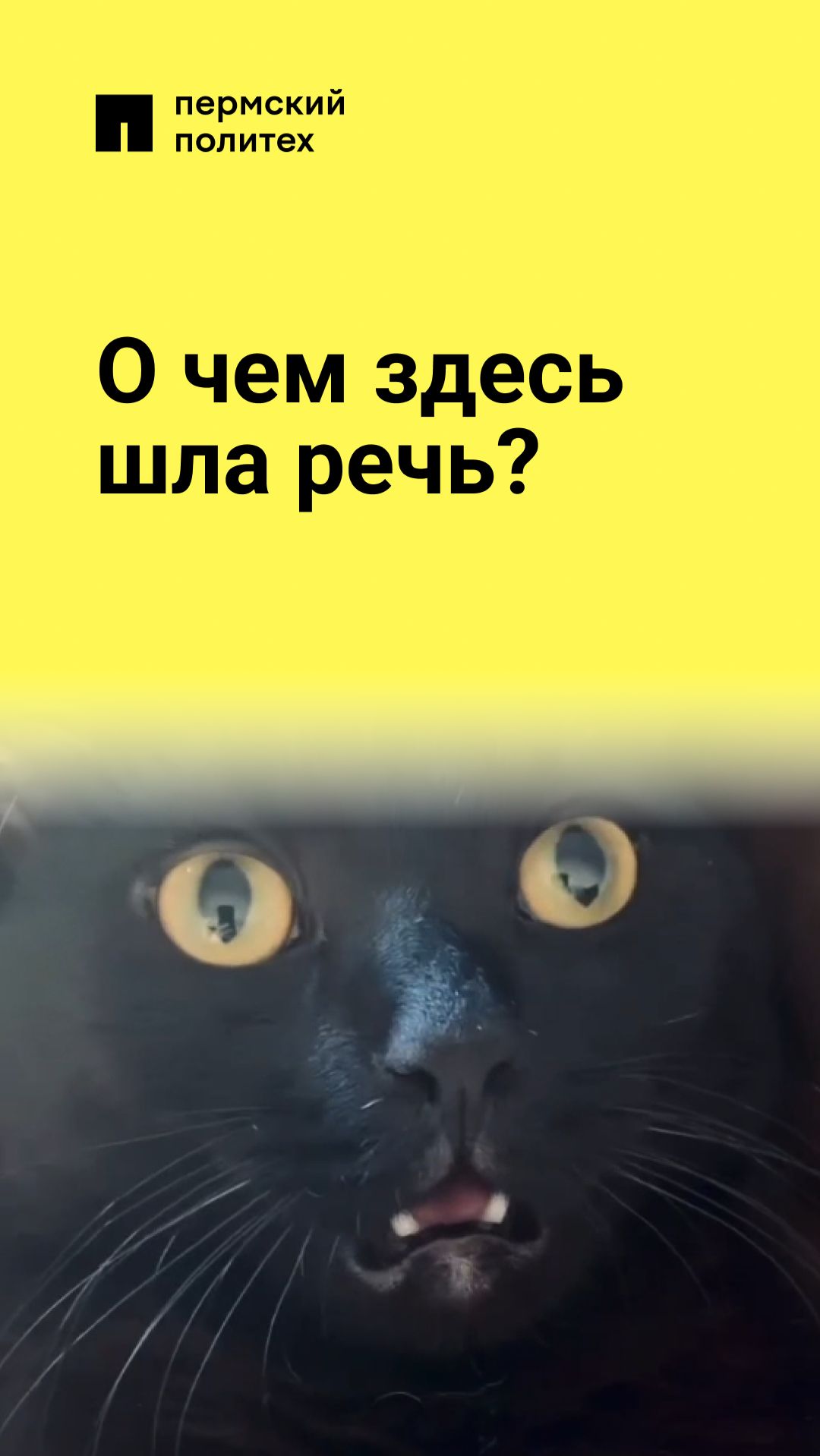 О чем здесь шла речь?