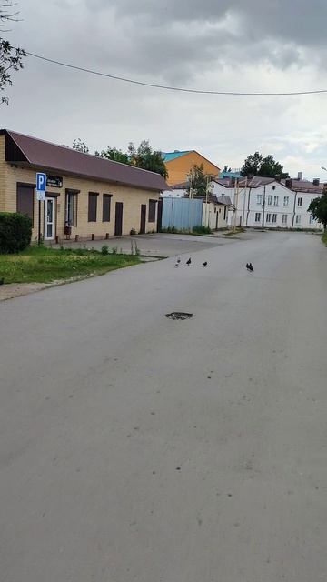Гуковский вайб