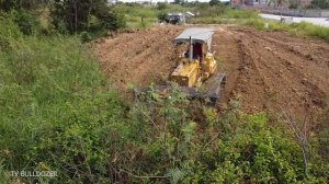 FULL PROJECT!!! 100% Complete Work CLEARING FOREST By D31P KOMATSU Skill Driver DOZER Pushing FOREST