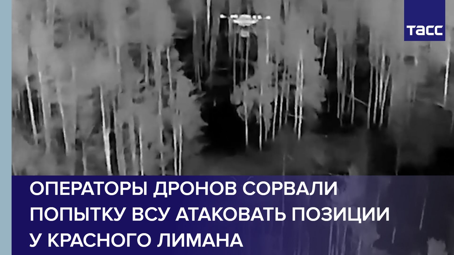 Операторы дронов сорвали попытку ВСУ атаковать позиции у Красного Лимана смотреть онлайн