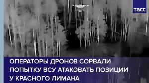 Операторы дронов сорвали попытку ВСУ атаковать позиции у Красного Лимана