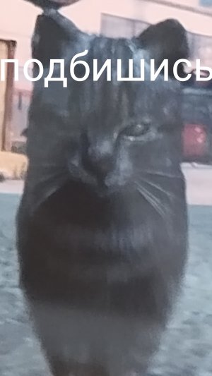 подпишись.