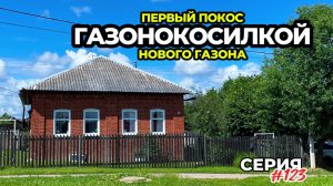 Газон из клевера. Первый покос газона. Начинаем делать компостный короб из подручных материалов.
