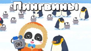 Игра «BabyBus. Пингвины. Детская познавательная игра. (бейбибас, панда Кики).