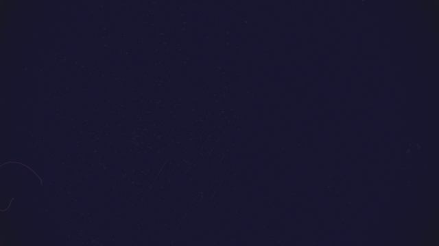 Общественная деятельность