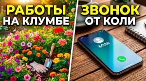 РАБОТЫ НА КЛУМБЕ / ЗВОНОК ОТ КОЛИ