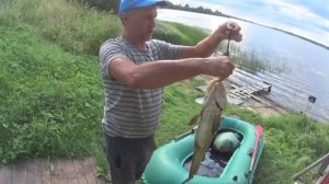 ИЗЛОВИЛ КРУПНОГО НАЛИМА!РЫБАЛКА КРУПНЫМИ СЕТЯМИ 60 ЯЧЕЯ И ЧЕТЫРЕ МЕТРА ВЫСОТА.