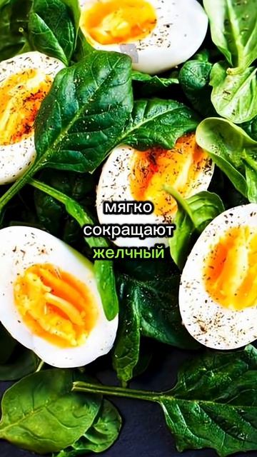 ПрО100 на ЗдОрОвЬе