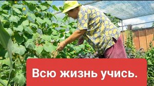 Пополнение. Всю жизнь учимся. Жизнь на пенсии.