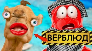 КАК ОТДОХНУТЬ В ЕГИПТЕ ЗА ОДНИ СУТКИ? МЕДВЕДЬ ВАЛЕРА ЗНАЕТ!