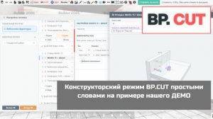 Конструкторский режим BP.CUT простыми словами на примере нашего ДЕМО у нас на сайте