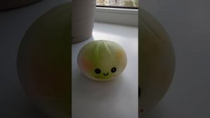 КотЁнок Мила спасает Ралли