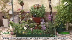 В Ингушетии продолжается приём заявок на республиканские конкурсы личных подсобных хозяйств