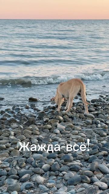 Донской Туризм