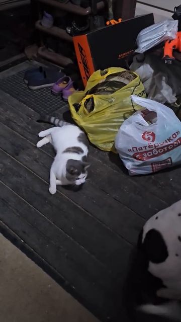 rutube.ru