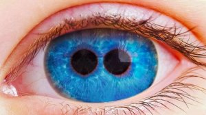 10 удивительных фактов о теле, о которых вы точно не знали