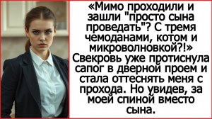 Истории из жизни. Пришли просто сына проведать? С тремя чемоданами? Слушать рассказы Андрея Белого