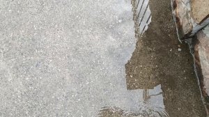 Абхазия Пицунда Лдзаа/жду/иду до Речной/магазин/купила картошку/
