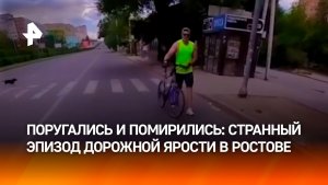 “На солнце перегрелся”: после драки велосипедист помирился с байкером в Ростове-на-Дону