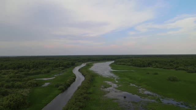 Кушта