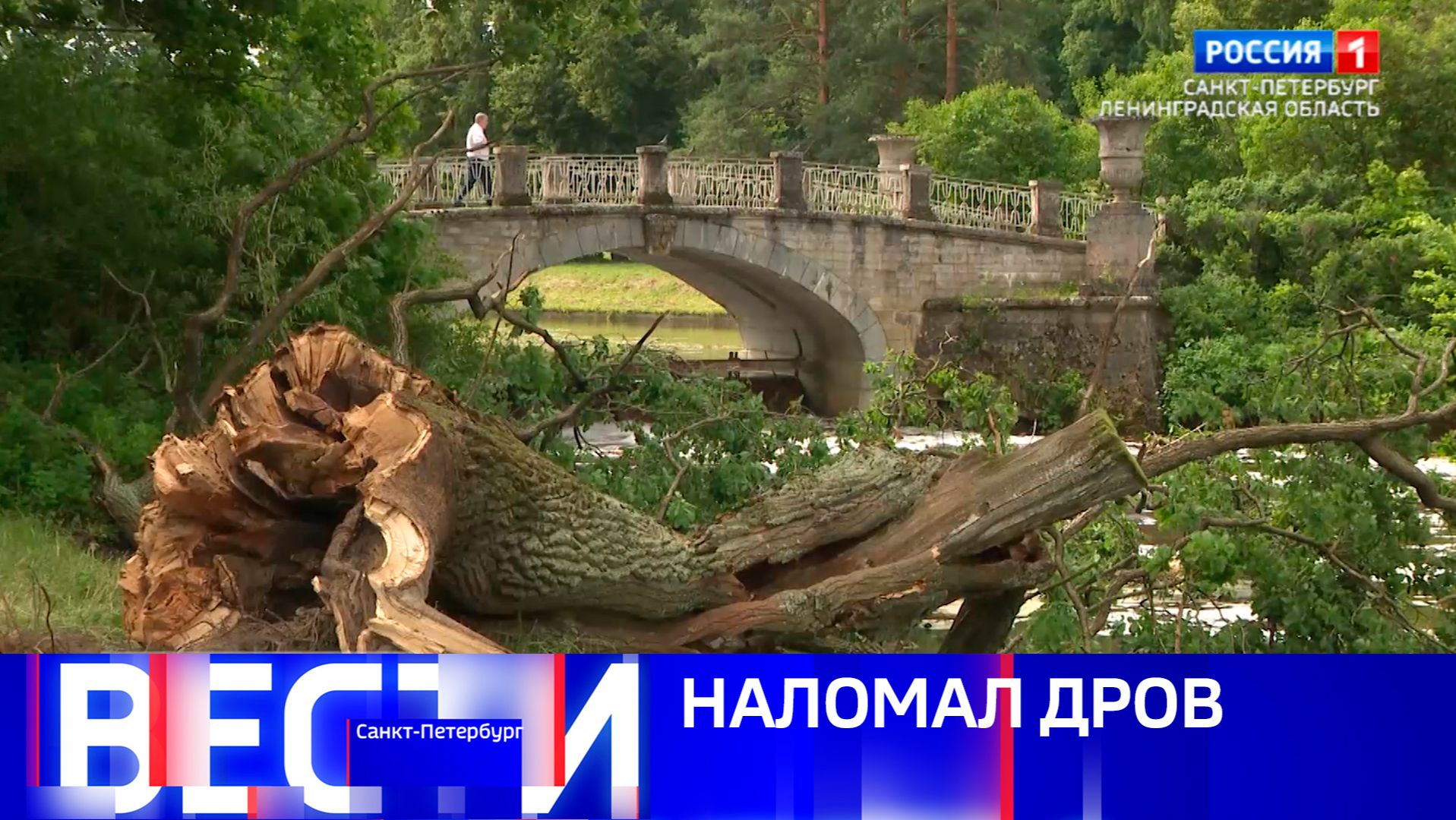 Вести Санкт-Петербург. Выпуск 21.10 от 13.07.2026
