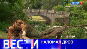 Вести Санкт-Петербург. Выпуск 21.10 от 13.07.2026