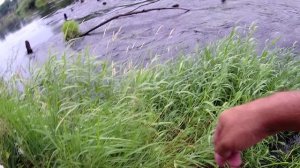 ещё одна Рыбалка на поплавок в июле на речке