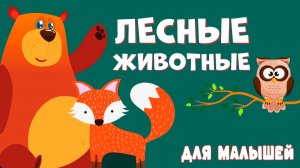 Развивающие мультики для малышей | Лесные животные и их звуки | Учим слова для детей