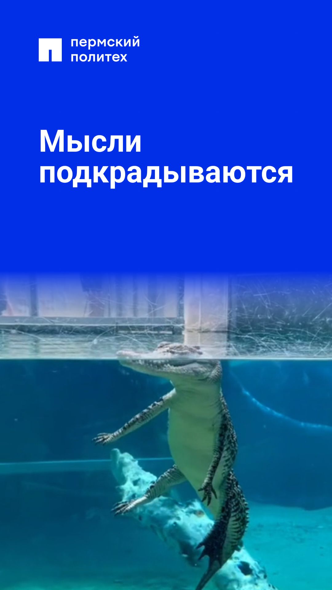 Shorts от Пермского Политеха