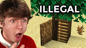 Как построить базу в Minecraft 1$ против 10,000$! Karl