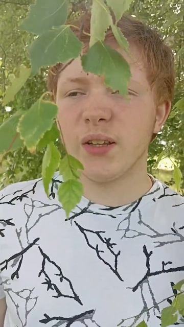 Вадишев Владимир, 17 лет, Н.М. Рубцов «Березы»