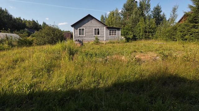 Дача 2026.07.12.mp4 смотреть онлайн