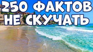 250 ИНТЕРЕСНЫХ ФАКТОВ, ЧТОБЫ НЕ СКУЧАТЬ В ОЧЕРЕДИ ЗА БЕНЗИНОМ