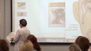 Заложило ухо, пропал нюх, слезятся глаза?