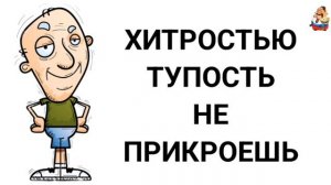 ХИТРОСТЬЮ ТУПОСТЬ НЕ ПРИКРОЕШЬ