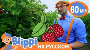 Песня Про Малину _ Изучай этот мир вместе с Блиппи _ Обучающие видео для детей _