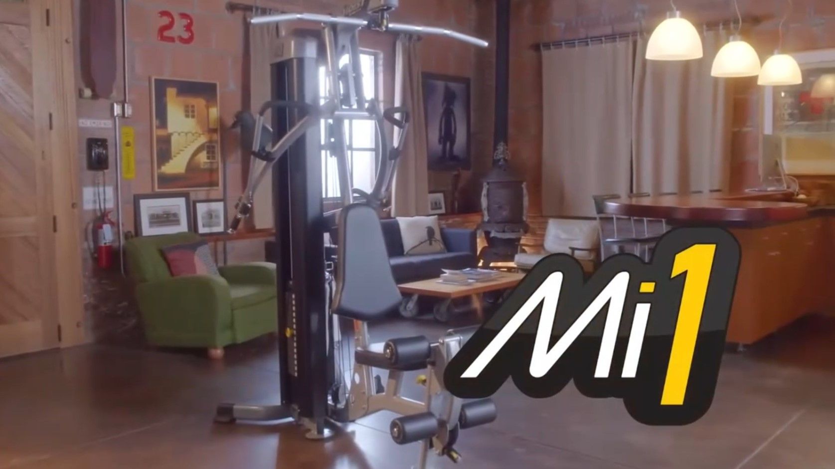 Силовой комплекс для дома HOIST Mi1. Обзор.