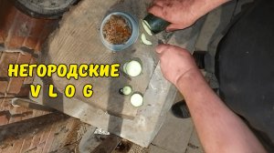 Чем кормлю НУТРИЙ вечером летом. 10.07.26