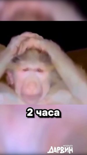Знаете Тихий океан Он успокоил