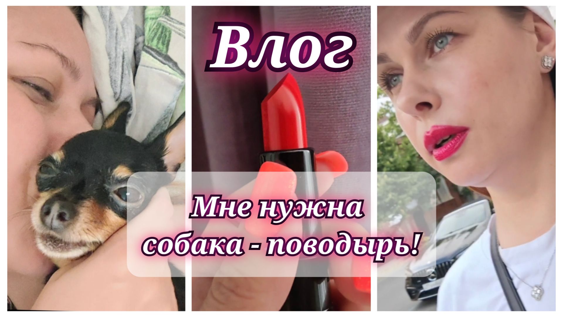 161/26. Собачьи нежности🤗 // Покупки // Это поможет всем // Мне нужна собака-поводырь! // смотреть онлайн