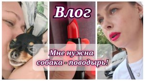 161/26. Собачьи нежности🤗 // Покупки // Это поможет всем // Мне нужна собака-поводырь! //