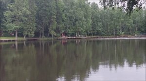 Утренний обзор с нижнего водоёма. Клёвое место, Лосиный остров.
